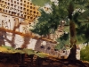 dscn2804
