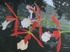 dscn5223