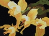 dscn5226