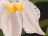 1-dscn2778