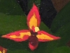 1-dscn2780