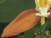 1-dscn2809