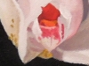 2-dscn2778